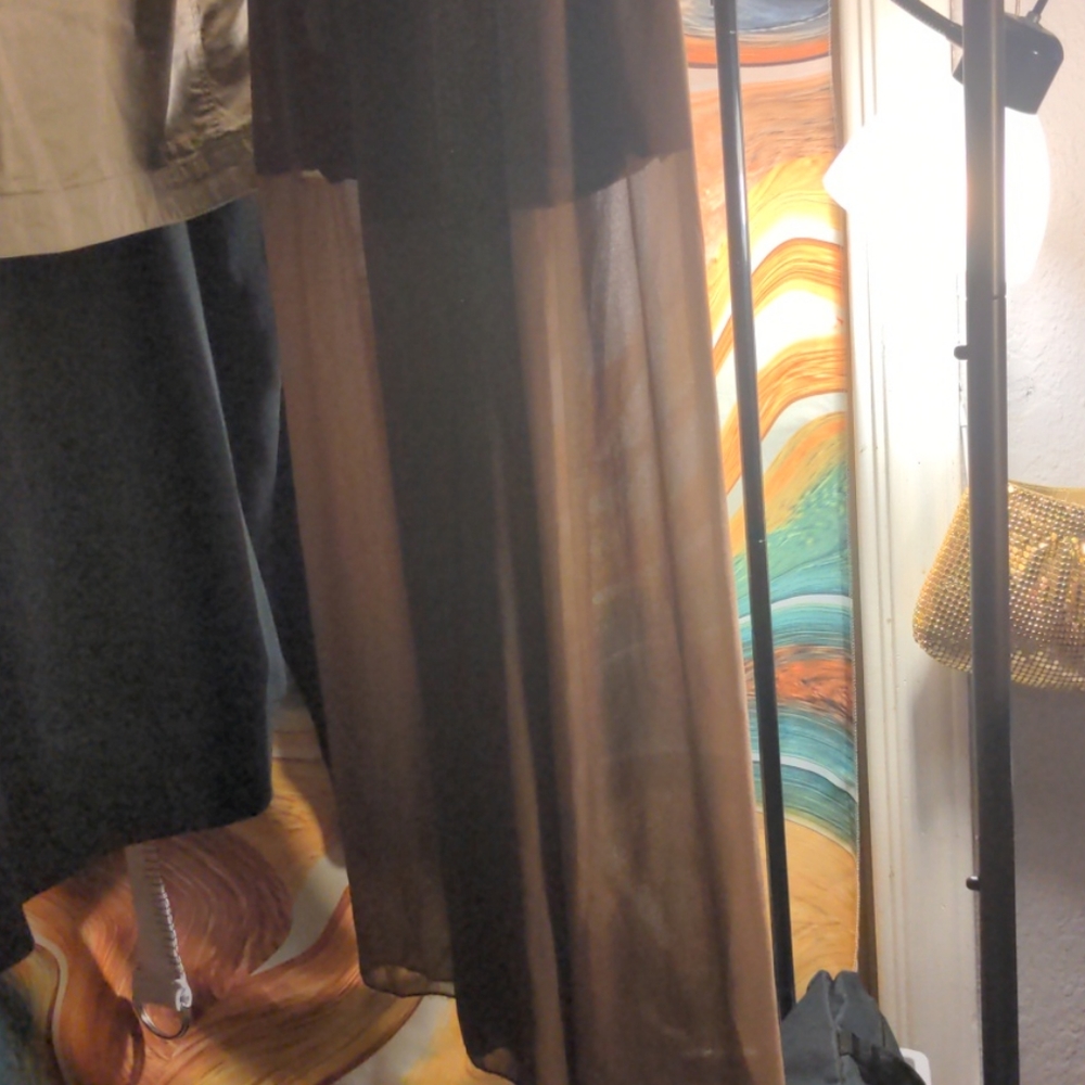 Sheer brown pants - Picture 2 of 4